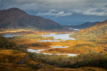 Southwest Ireland: Dingle Peninsula & The Wilds of Killarney